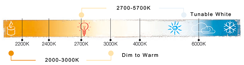 TW CCT table.jpg